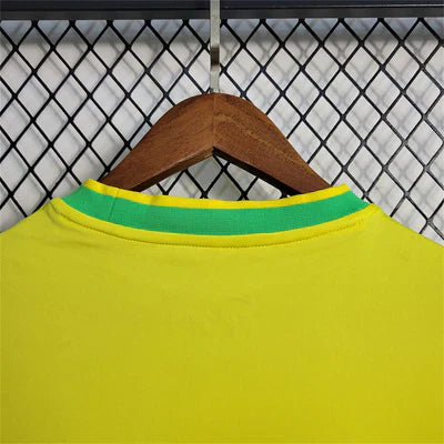 BRAZIL YELLOW PIGEON KIT